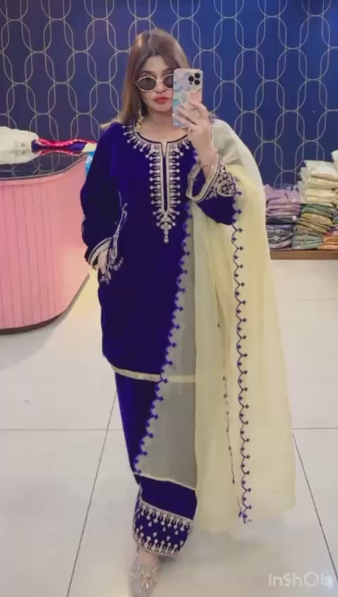 Article 1946 – Premium Velvet Farshi Salwar Suit with Zari Work | Sizes 38–46