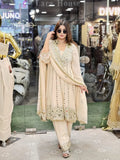Anarkali with original mirror work